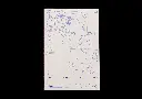 CUBIERTA2.webp